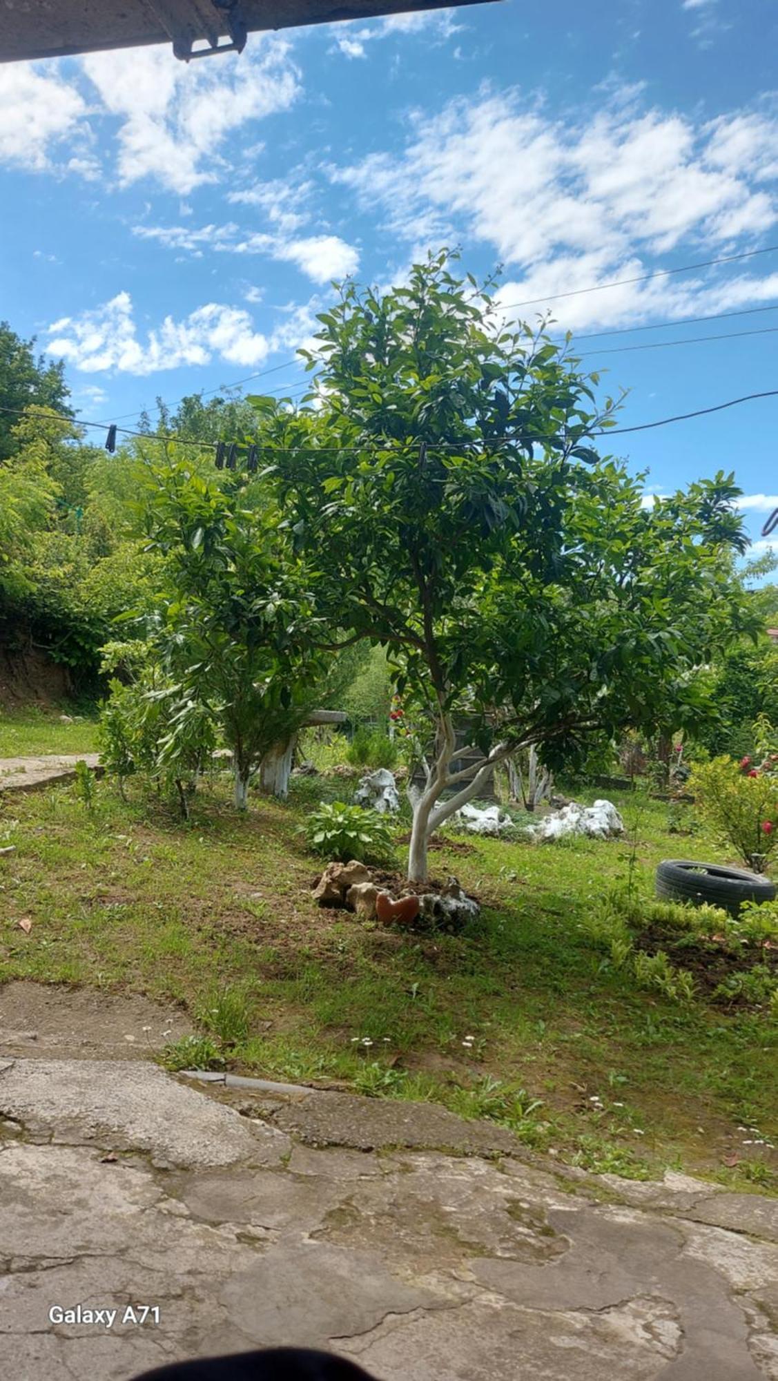 Mero House Koutaïssi Extérieur photo